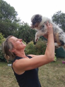 ECOLE DU CHIOT EDUCATION COMPORTEMENTALISTE CANIN COTES D'ARMOR